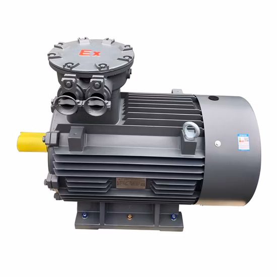 Three Phase Explosion Proof Flameproof AC Electrical Asynchronous Induction Ex Electric Motor