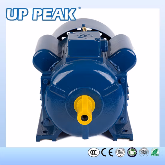 Cinese singolo trifase 1.5kw 2HP 5.5kw 132m 132sb 160m Condensatore Avviamento Esegui AC Asincrono Induzione Elettrico Motore Elettrico Produttore Fornitore Fabbrica