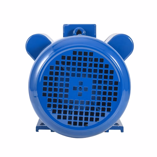 Serie Ml 3 HP 220 V 2,2 kW 2800 giri/min Doppio